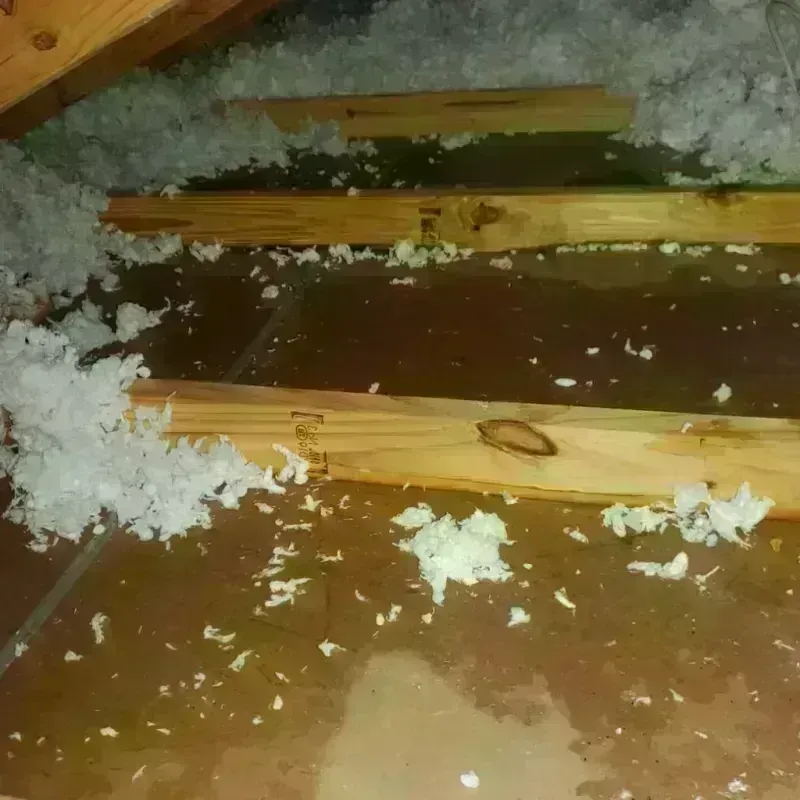 Attic Water Damage in Summerville, GA