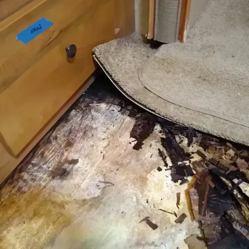 Wood Floor Water Damage in Summerville, GA